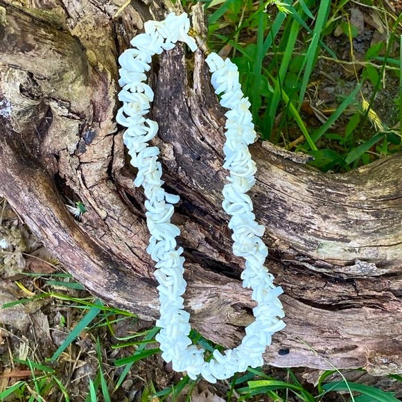 Beautiful Vintage Shell Necklace! - Picture 1 of 9